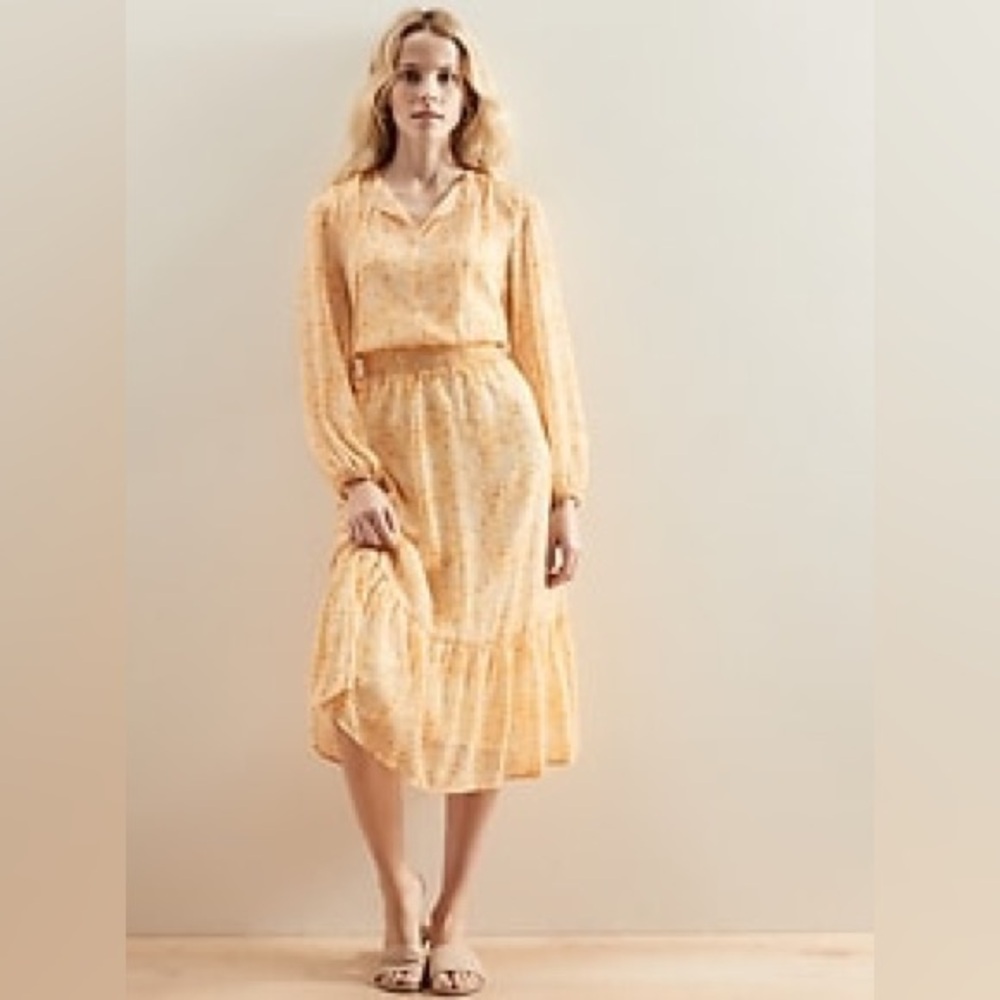 NWT Banana Republic Flounce Midi Dress